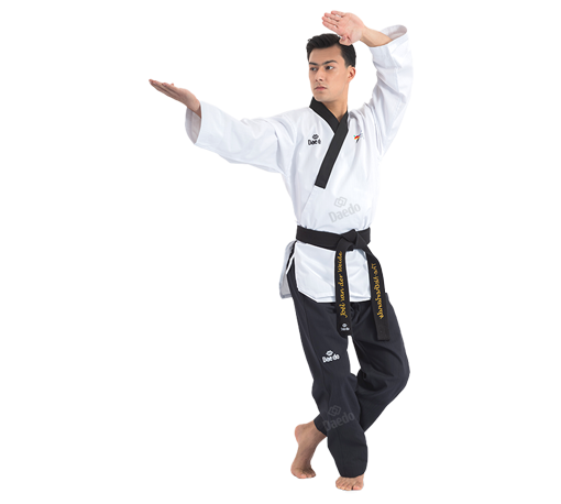 Poomsae1
